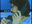 03.png
